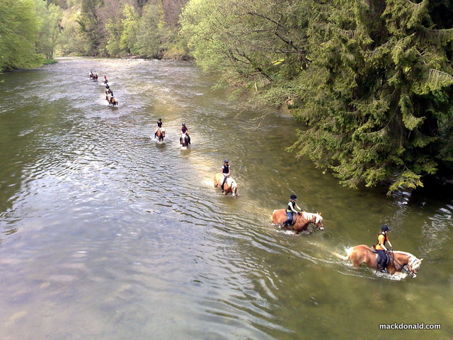 Students on a horse-riding excursion