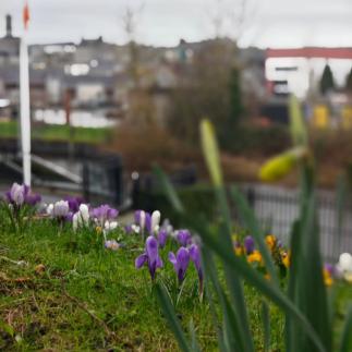 Spring is in the air