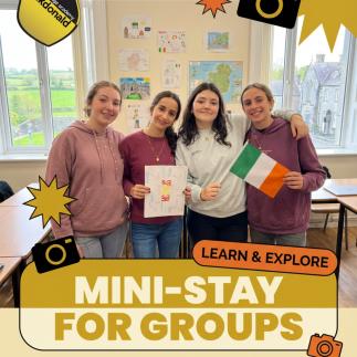 At mackdonald language academy, our mini-stay experience combines learning and leisure! 🏫✨ Immerse yourself in vibrant atmosphere while gaining fluency in English language and making friends from around the world! 🌍🤝 #LanguageLearning #CulturalExchange #MackdonaldLanguageAcademy #FluencyJourney #LanguageAdventure