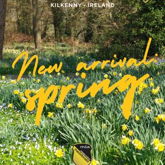 Spring is officially here in Kilkenny, and our English learners are soaking up the sunshine! 🌼🌞 It’s the perfect time to practice English outdoors, surrounded by blooming flowers and chirping birds. Our students are engaging in fun conversations, sharing stories, and enhancing their skills in the fresh air. #LanguageSchool #SpringInKilkenny #LearnEnglish #OutdoorLearning #FluencyFun #EnglishConversation #Community #SpringVibes #LanguageAdventure #KilkennyLife #ExploreMore