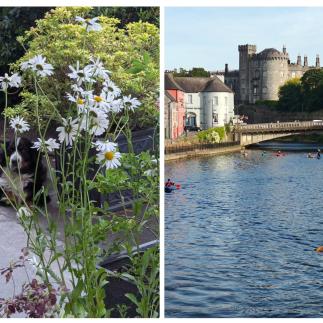 mackdonald_kilkenny image 3