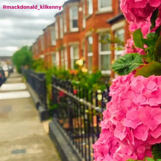 mackdonald_kilkenny image 0