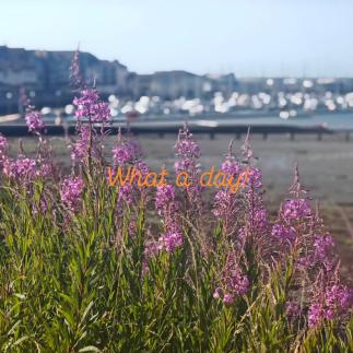 Summer in Ireland . . . #irelandtravel #exploremore #englishinireland