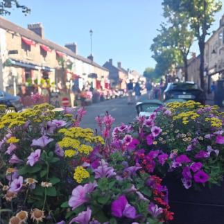 #irelandtravel #exploremore #studyinireland #englishinireland #summercamp2026☀️