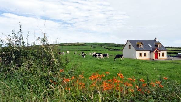 Host families in Kilkenny