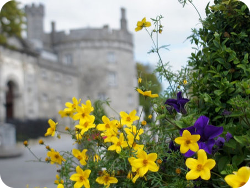 The Parade in Kilkenny