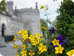 Kilkenny, in the South-East of the Emerald Isle